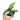 Syngonium_