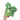 Anthurium silver blush