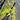 PS0920 Philodendron Florida Beauty - Mature
