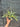 Ps10-47 Philodendron Tortum Variegated