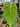 Anthurium Waterburyanum X Warocqueanum