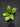 Hoya Callistophylla Emerald