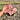 Syngonium Pink Candy