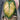 Philodendron Melano Pink