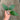 Hoya Mystic Core
