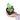 Syngonium Green Splash
