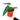 Anthurium Warocqueanum - Medium size - Plantstop.us