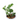Epipremnum Aureum Snow Queen - Plantstop.us