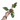 Philodendron Red Anderson