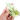 Epipremnum Pinnatum Marble Queen - Plantstop.us