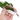 Philodendron Red Anderson