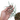 Philodendron Tortum