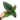 Anthurium Radicans - Plantstop.us