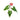 Anthurium Andreanum - Flamingo Flower - Plantstop.us