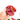 Anthurium Andreanum - Flamingo Flower - Plantstop.us