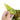 Philodendron Strawberry Shake