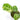 Calathea Butterfly Variegated - Plantstop.us
