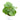 Calathea Orbifolia - Plantstop.us