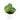 Anthurium Crystallinum Domino