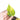 Philodendron micans variegated - Aroidmarket