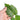Monstera Thai Constellation Little