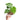 Monstera Thai Constellation Little