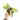 Philodendron violin variegated