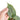 Anthurium luxurians x dorayaki - Plantstop.us
