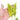 Anthurium vittarifolium variegated - Plantstop.us