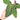Anthurium papillilaminum red stem - Plantstop.us