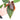 Anthurium papillilaminum red stem - Plantstop.us