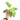 Philodendron violin variegated