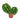 Anthurium crystallinum minahasa - Plantstop.us