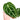 Anthurium crystallinum minahasa - Plantstop.us