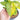 Syngonium lime soda