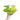 Syngonium lime soda
