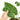 Anthurium king veitchii - mature size - Plantstop.us