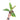 Philodendron Ring of Fire Variegated