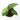 Monstera Siltepecana