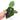Anthurium papillilaminum X Magnificum Verde - Plantstop.us
