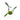 Philodendron Code 69686