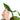 Philodendron Code 69686