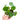 Pilea