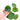 Pilea