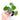 Pilea