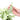 Syngonium White Narrow