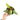 Philodendron Strawberry Shake