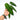 Anthurium Warocqueanum - Mature size - Plantstop.us