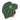 Anthurium Magnificum - Plantstop.us