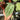 Anthurium Silver ButterFly - A hand holding a green heart-shaped tropical plant leaf with prominent light green veining, with other potted plants blurred in the background.